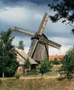 wdzydze